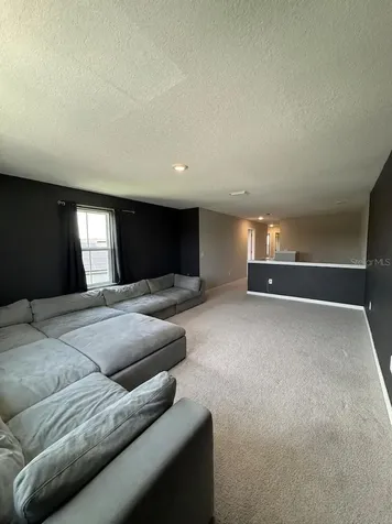 13521 Palmera Vista Drive Riverview FL 33579