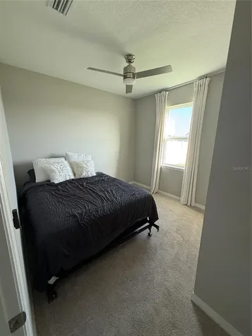 13521 Palmera Vista Drive Riverview FL 33579