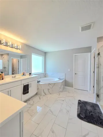 13521 Palmera Vista Drive Riverview FL 33579