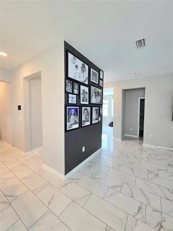 13521 Palmera Vista Drive Riverview FL 33579