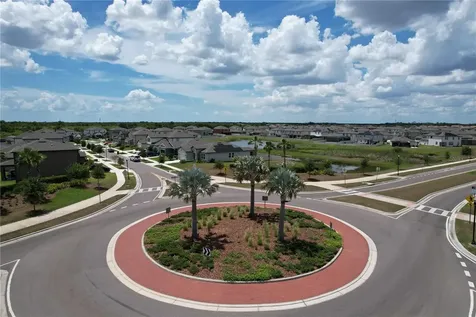 13521 Palmera Vista Drive Riverview FL 33579