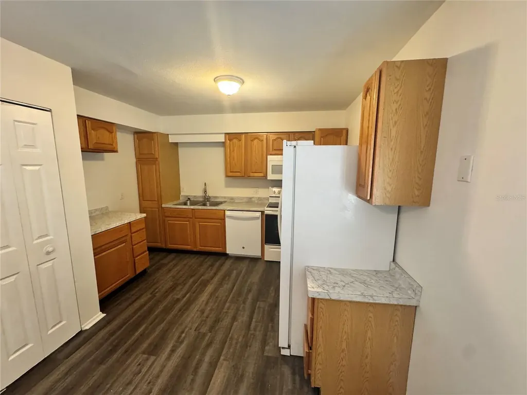 316 E Primrose Lane Lady Lake FL 32159
