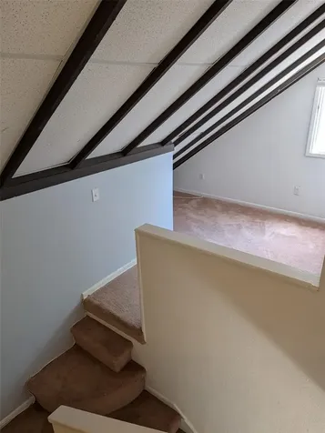 12310 Touchton Drive Tampa FL 33617