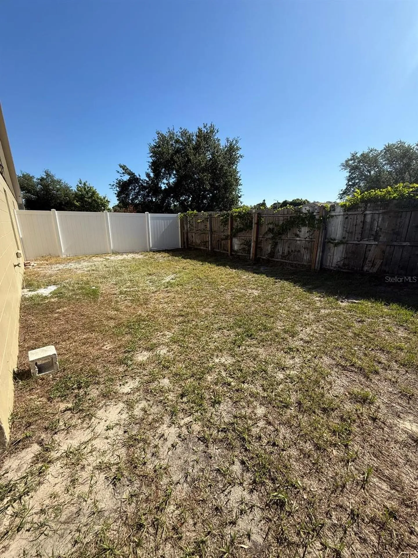 8539 N Hyaleah Road Tampa FL 33617