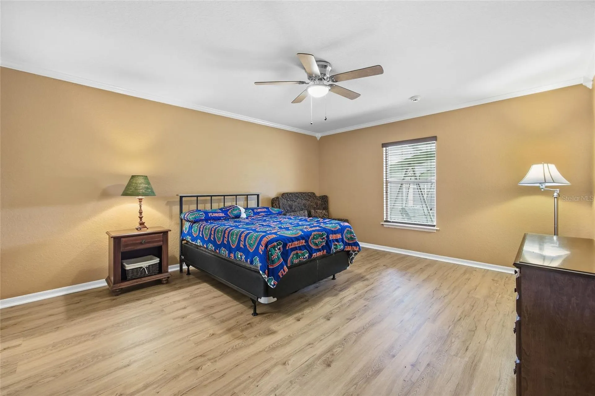 3539 SE 136th Place Summerfield FL 34491