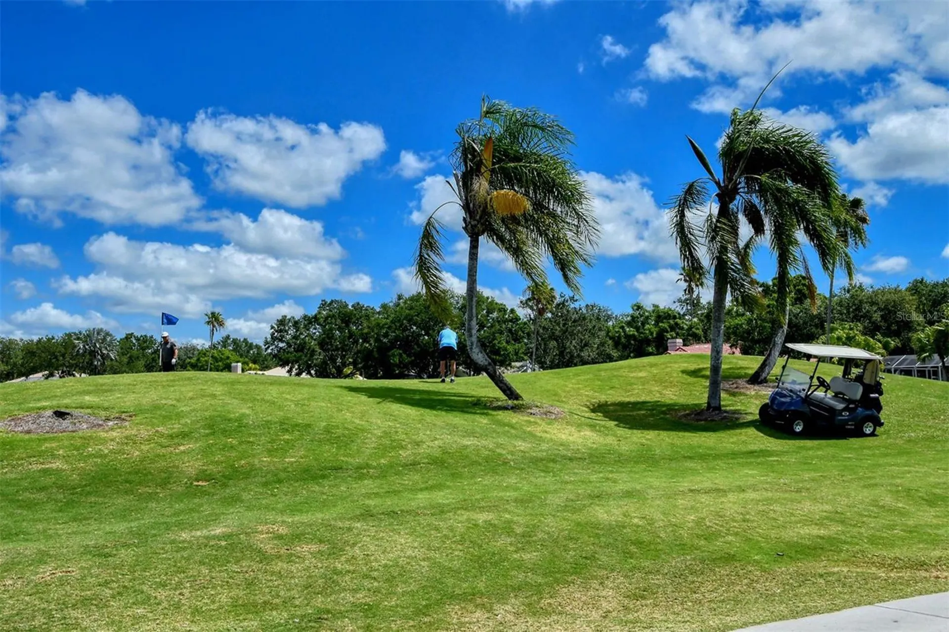 7025 N Serenoa Drive Sarasota FL 34241