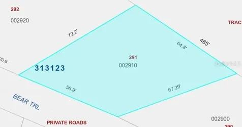 291 Bear Trail River Ranch FL 33867