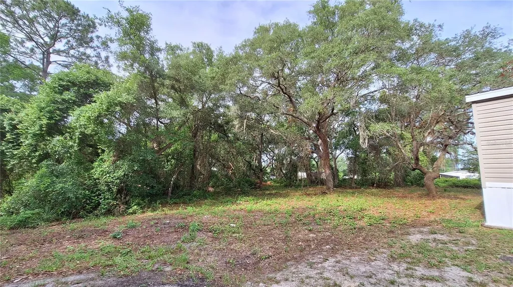 2502 SE 179th Avenue Silver Springs FL 34488
