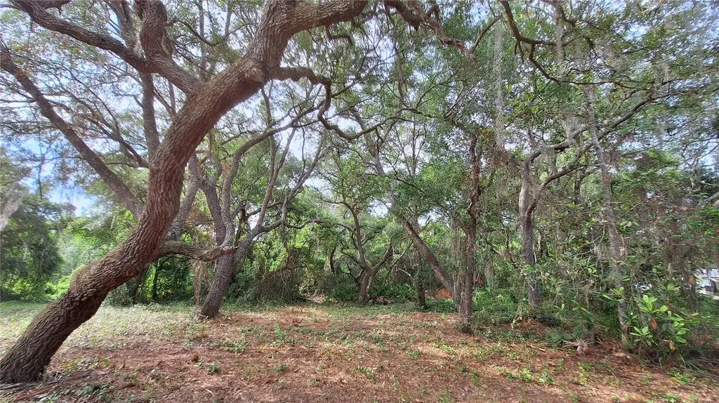 2502 SE 179th Avenue Silver Springs FL 34488