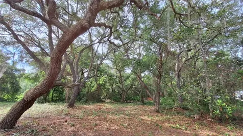 2502 SE 179th Avenue Silver Springs FL 34488