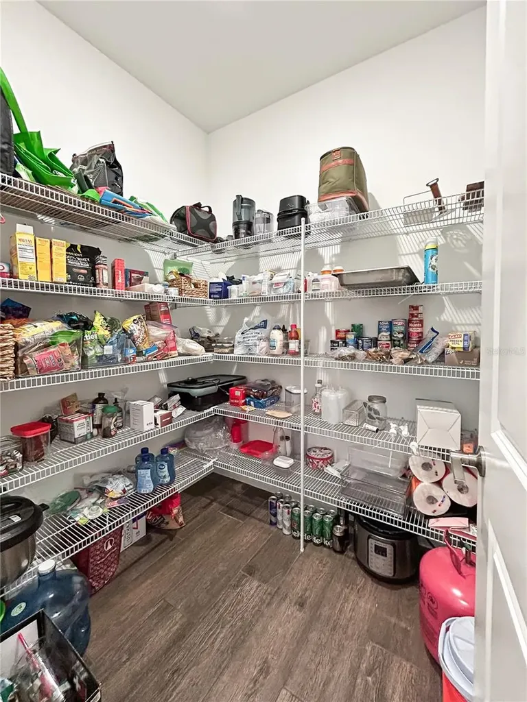 18334 Serene Lake Loop Lutz FL 33548