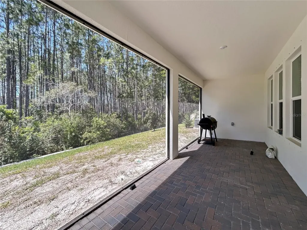 18334 Serene Lake Loop Lutz FL 33548