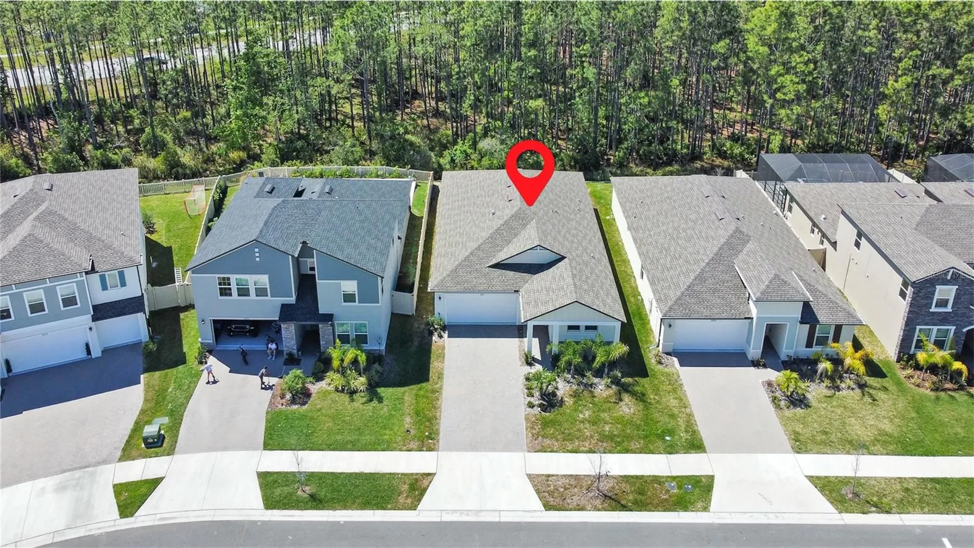 18334 Serene Lake Loop Lutz FL 33548