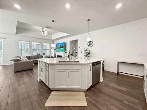 18334 Serene Lake Loop Lutz FL 33548