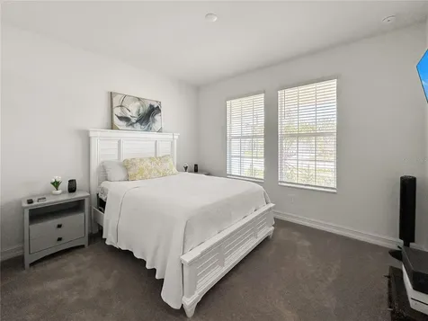 18334 Serene Lake Loop Lutz FL 33548