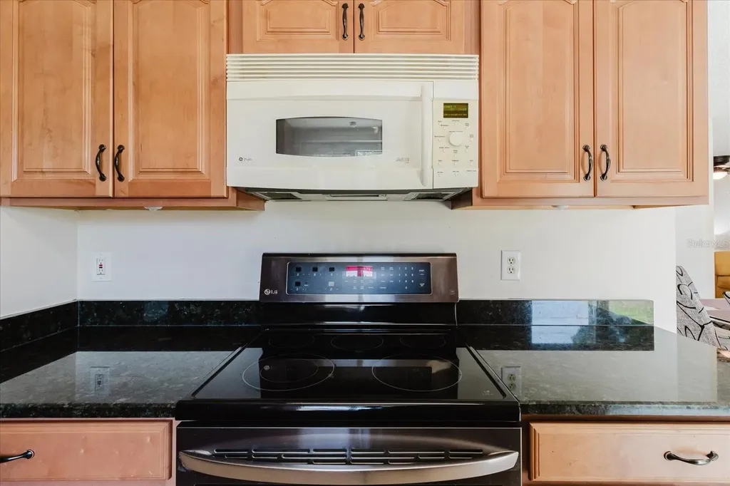 2207 Selkirk Street Valrico FL 33594