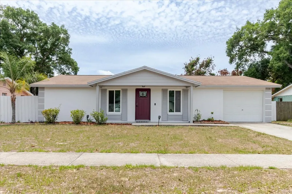 2207 Selkirk Street Valrico FL 33594