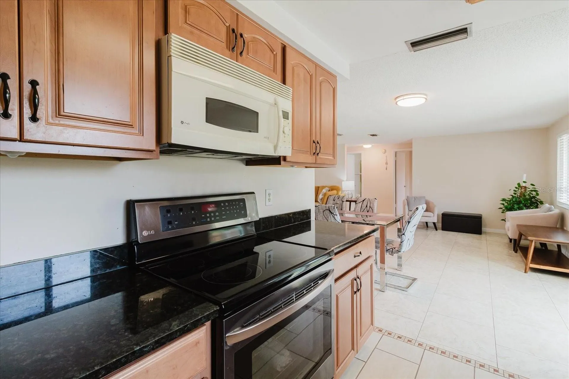 2207 Selkirk Street Valrico FL 33594