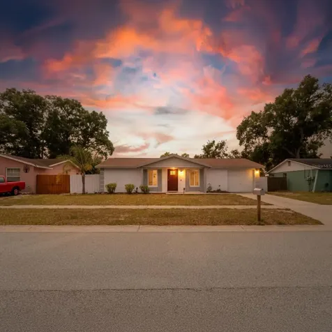 2207 Selkirk Street Valrico FL 33594