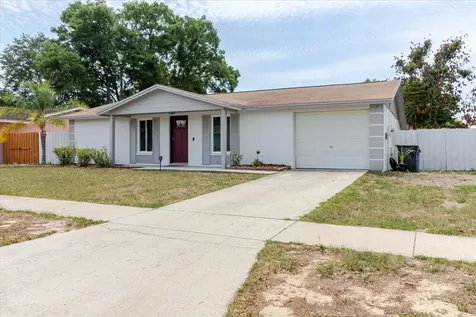 2207 Selkirk Street Valrico FL 33594