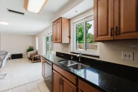 2207 Selkirk Street Valrico FL 33594