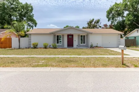 2207 Selkirk Street Valrico FL 33594