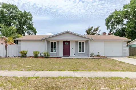2207 Selkirk Street Valrico FL 33594