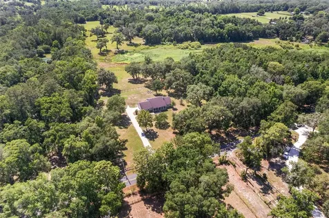 7330 NW 137th Avenue Morriston FL 32668