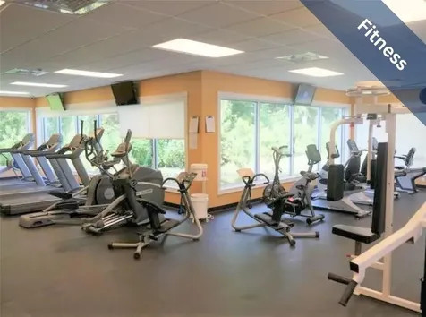 1624 Lakestone Drive Trinity FL 34655