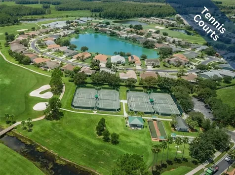 1624 Lakestone Drive Trinity FL 34655