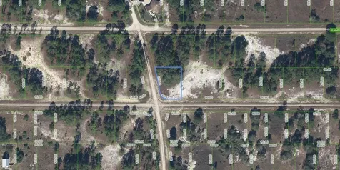 300 Moon River Avenue Lake Placid FL 33852