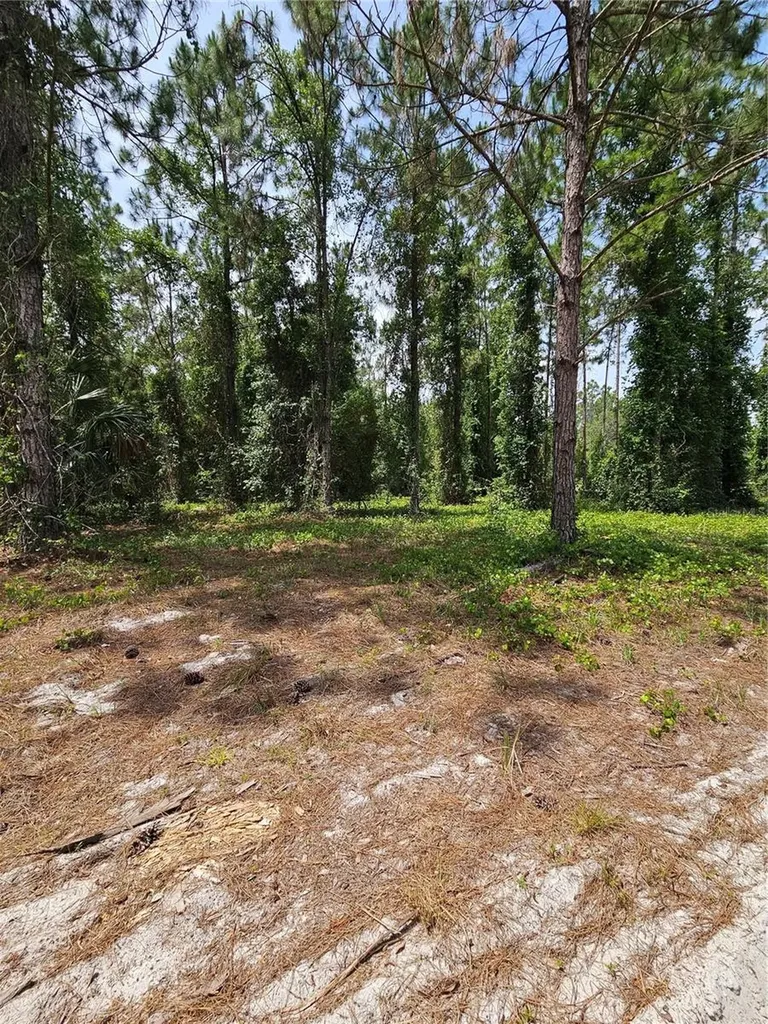Geneva Woods Cove Geneva FL 32732
