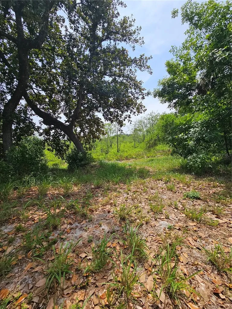 Geneva Woods Cove Geneva FL 32732