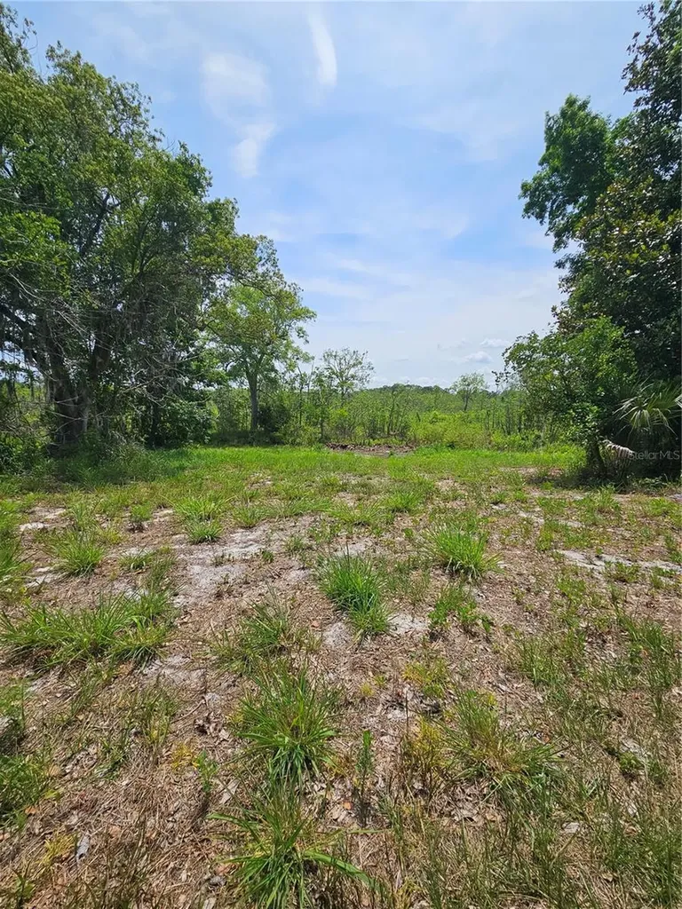 Geneva Woods Cove Geneva FL 32732