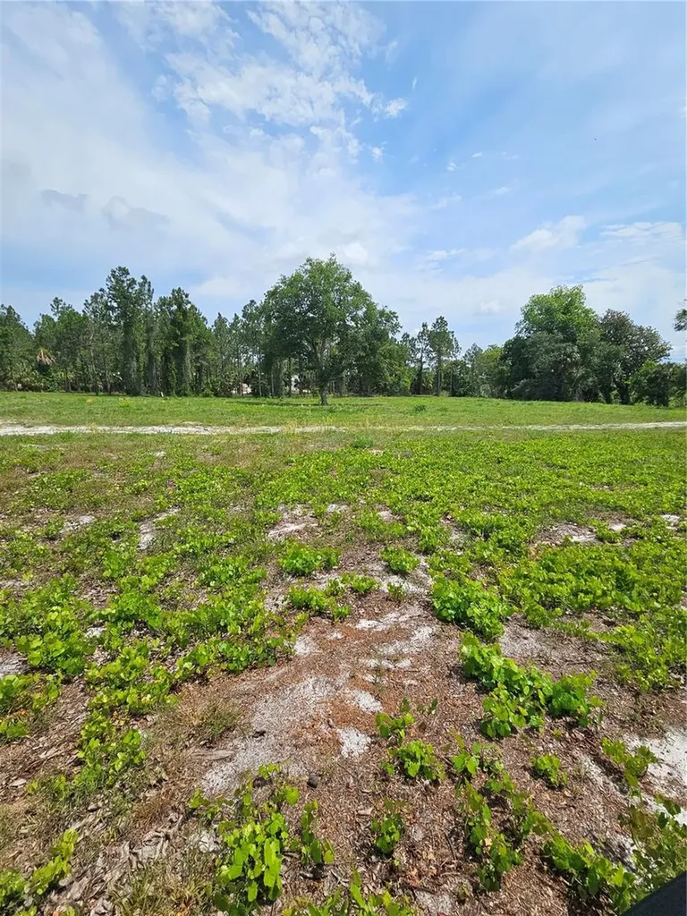 Geneva Woods Cove Geneva FL 32732
