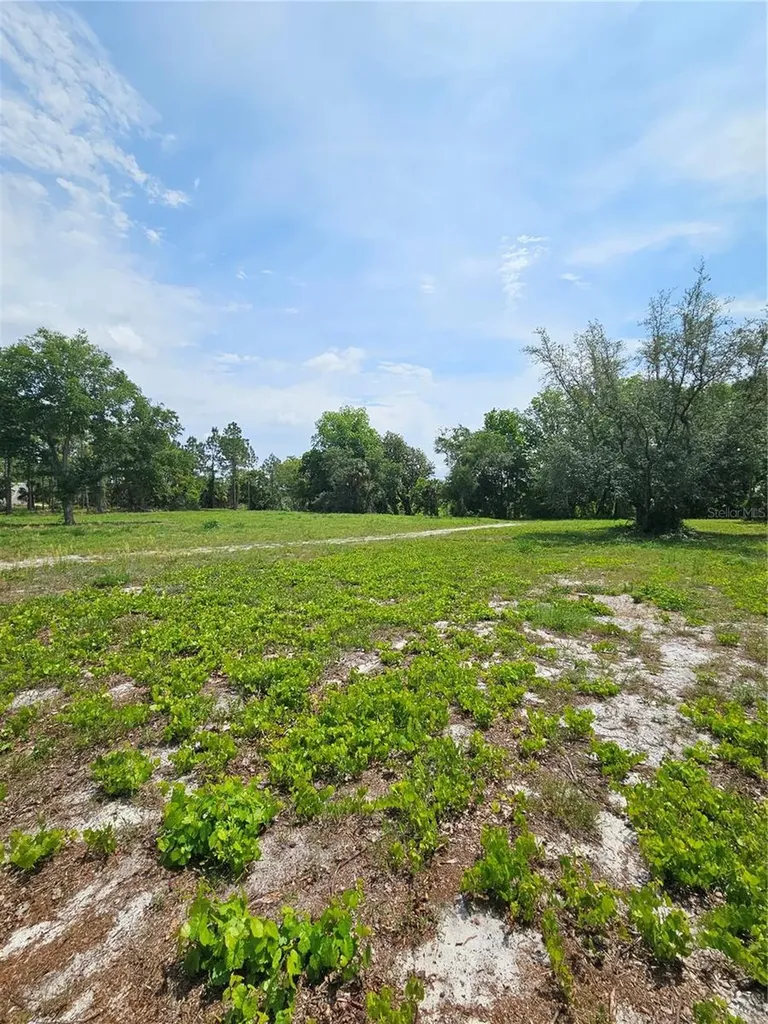 Geneva Woods Cove Geneva FL 32732