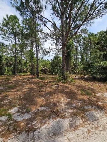 Geneva Woods Cove Geneva FL 32732