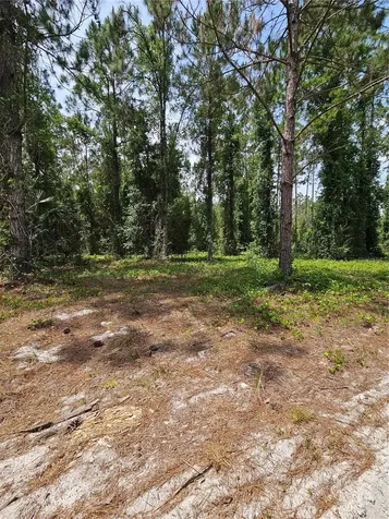 Geneva Woods Cove Geneva FL 32732