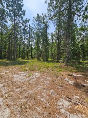 Geneva Woods Cove Geneva FL 32732