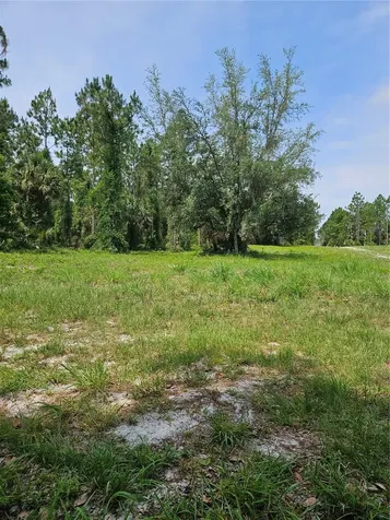 Geneva Woods Cove Geneva FL 32732