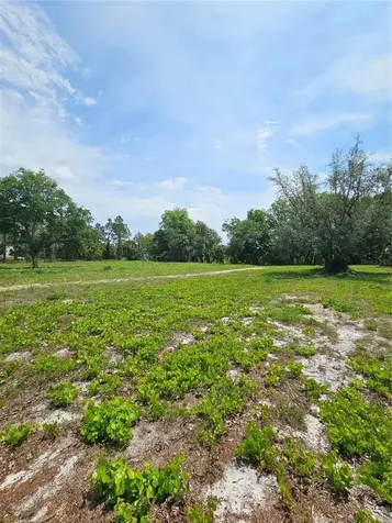 Geneva Woods Cove Geneva FL 32732