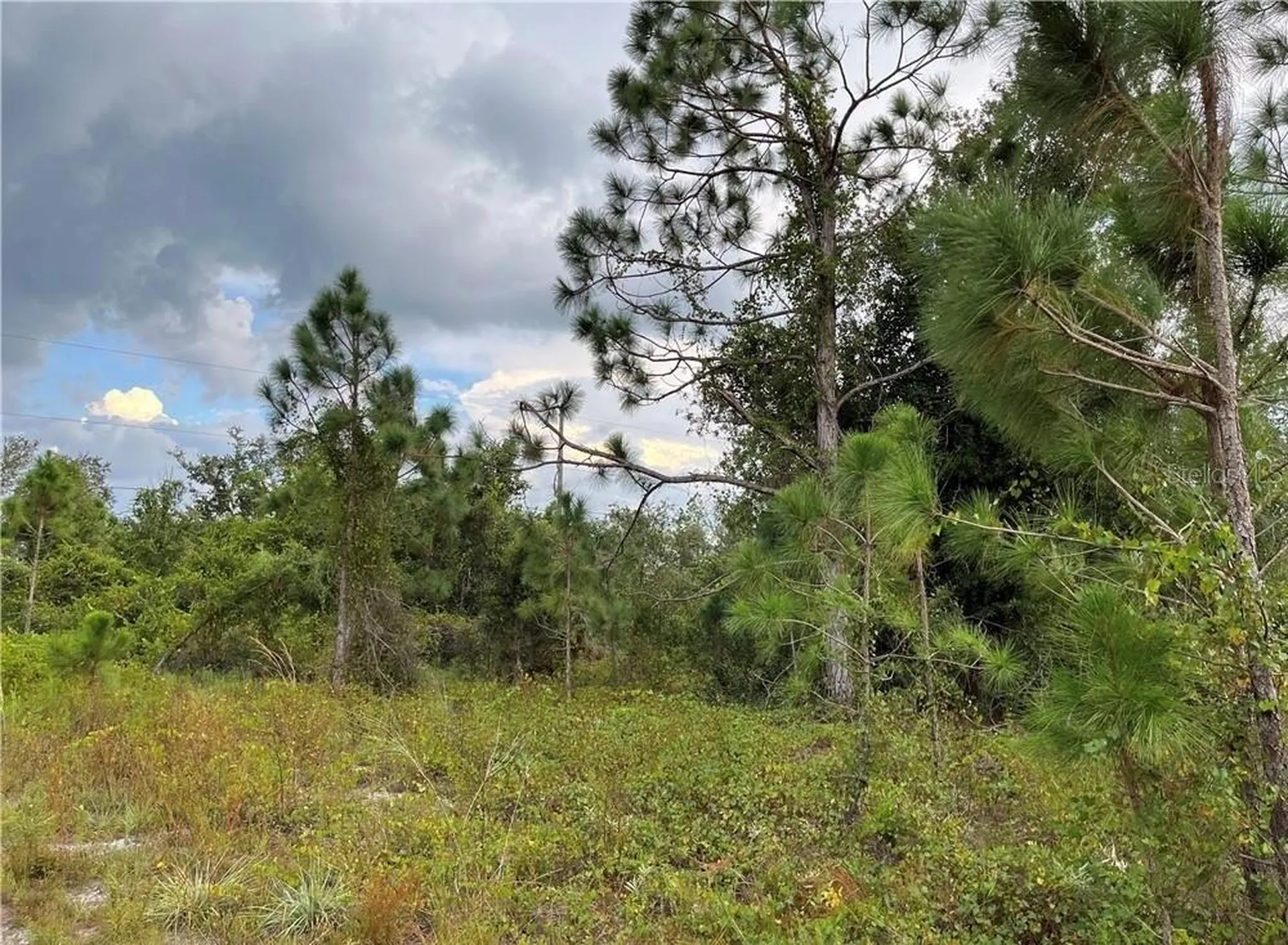 2250 Sulstone Drive Punta Gorda FL 33983
