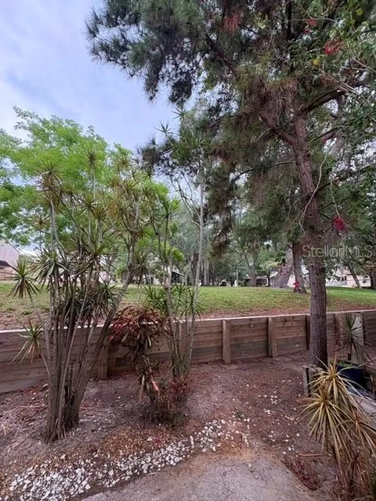 3204 Brigadoon Drive Clearwater FL 33759