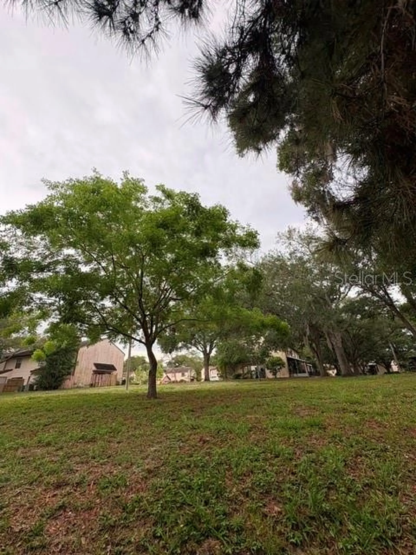 3204 Brigadoon Drive Clearwater FL 33759