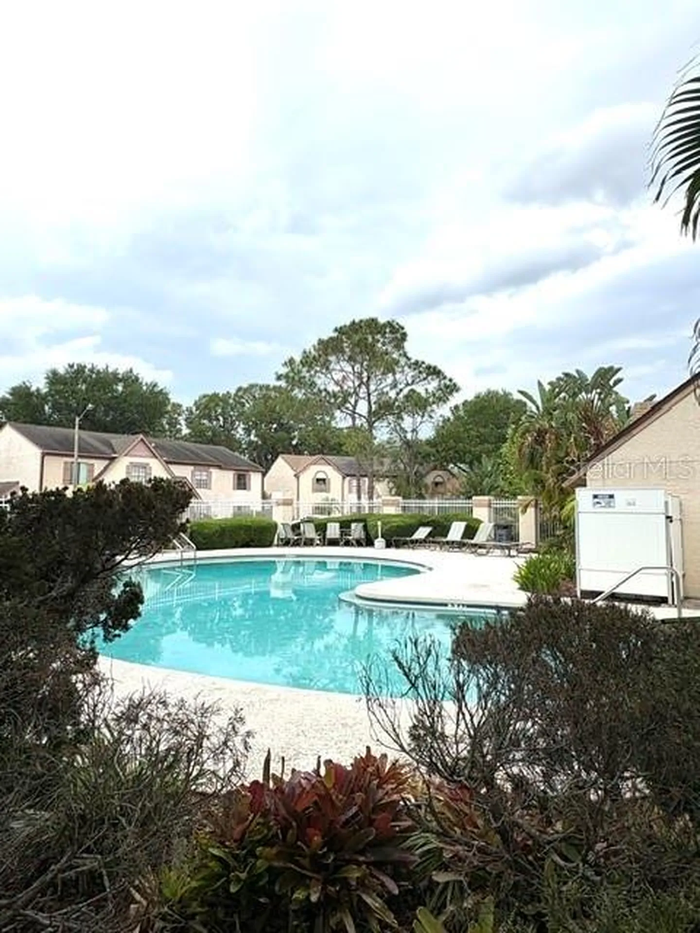 3204 Brigadoon Drive Clearwater FL 33759