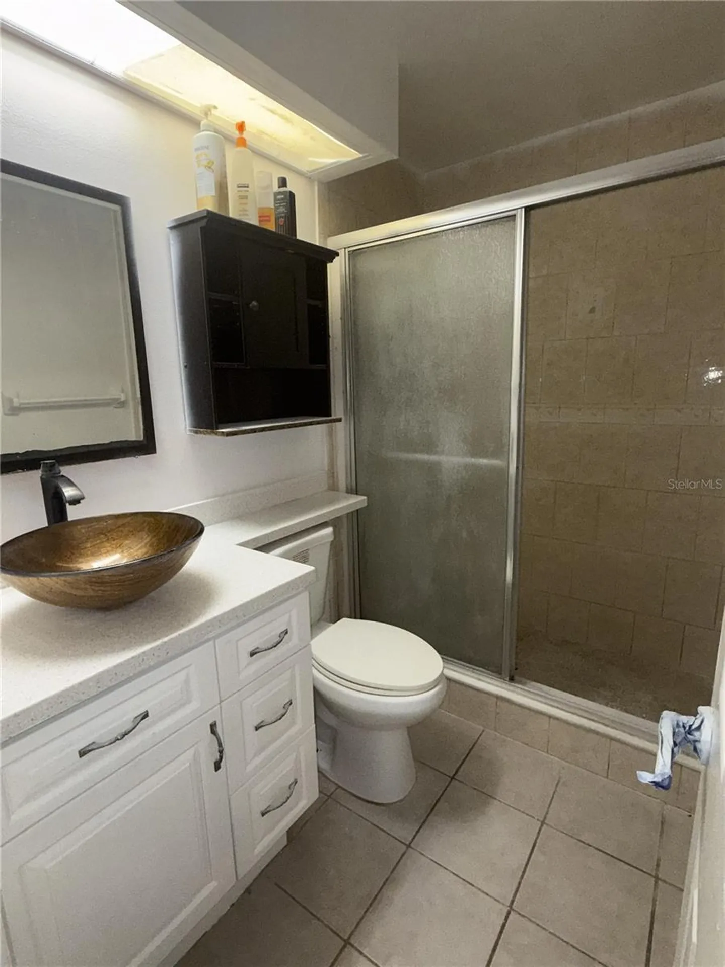 9213 Camino Villa Boulevard Tampa FL 33635
