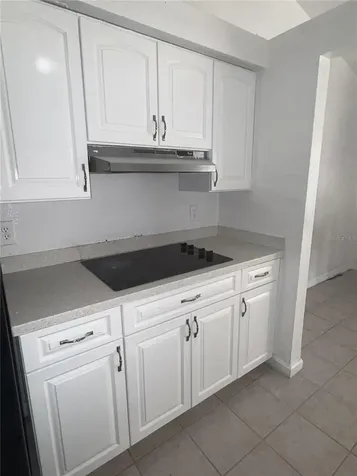 9213 Camino Villa Boulevard Tampa FL 33635