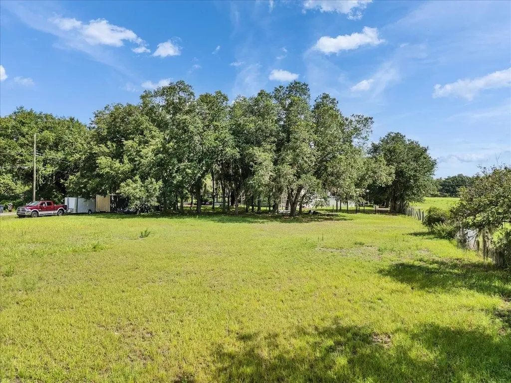 10424 Lyons Avenue Lithia FL 33547