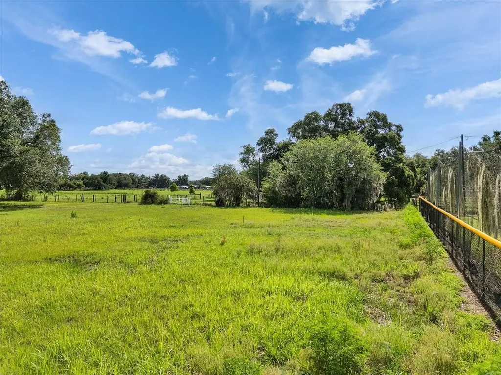 10424 Lyons Avenue Lithia FL 33547
