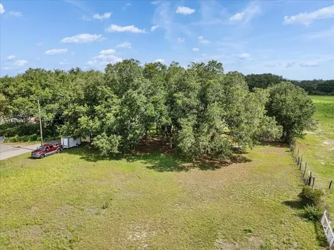 10424 Lyons Avenue Lithia FL 33547